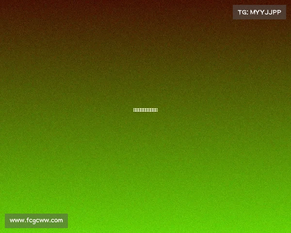 冰壶世锦赛赛事时间表