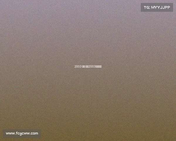 2003 足球 赛事2003中国足球